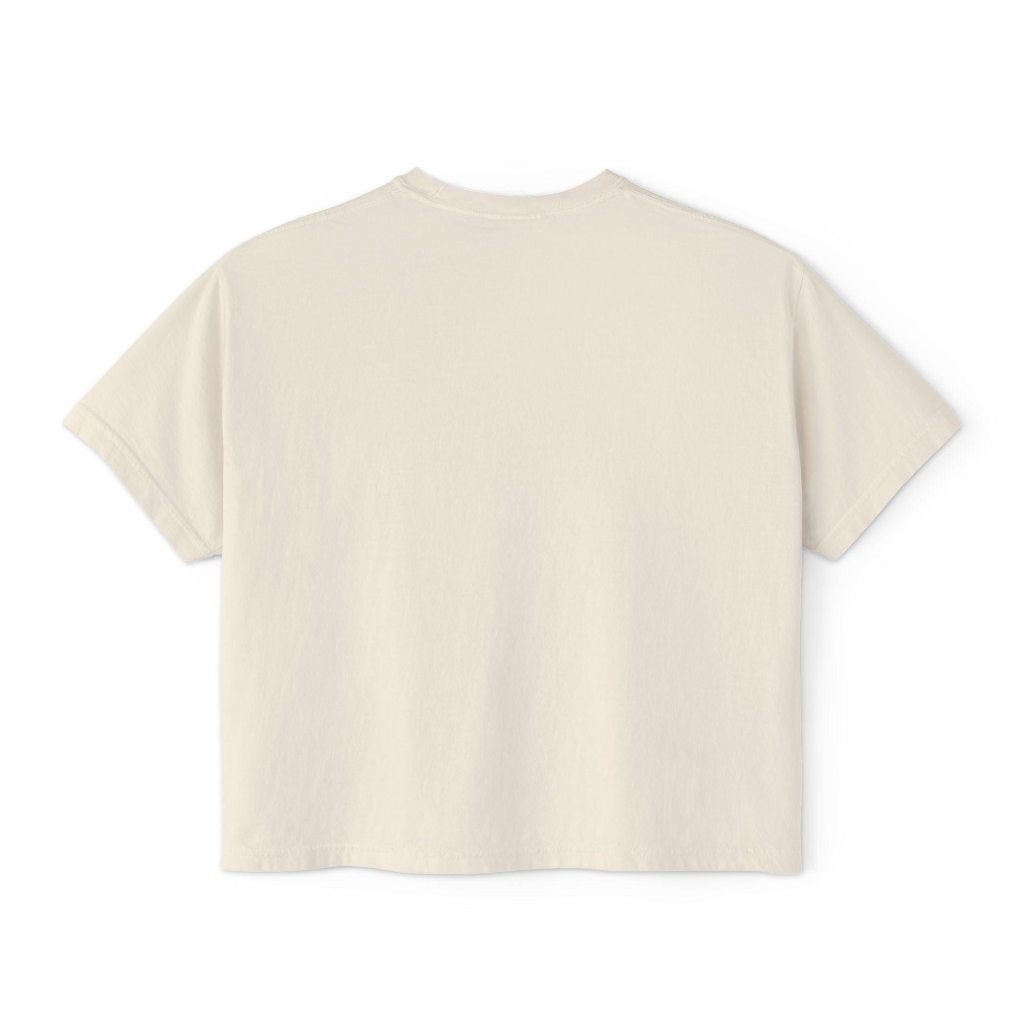 Flamingo Island Graphic Tee — Women's Boxy Beach Shirt