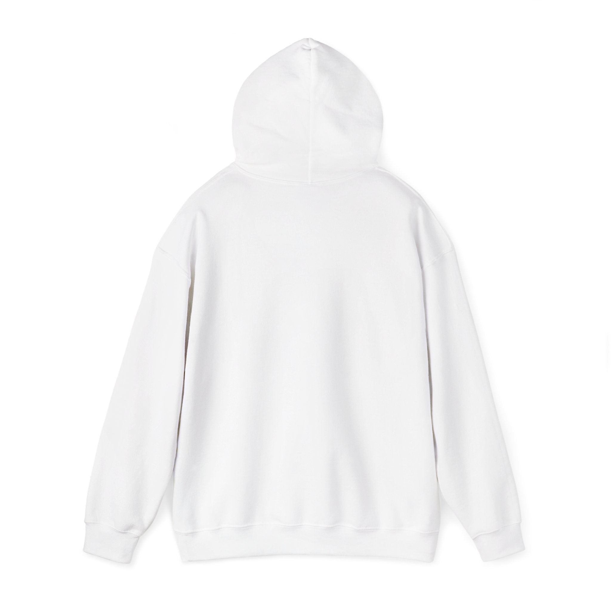 Unisex Retro Hooded Sweatshirt