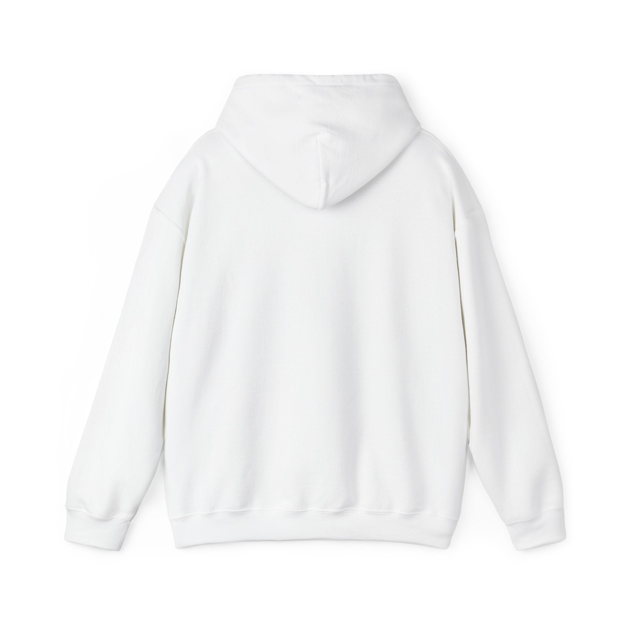 Unisex Retro Hooded Sweatshirt